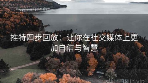 推特四步回放：让你在社交媒体上更加自信与智慧