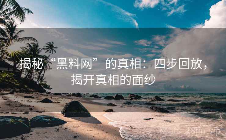 揭秘“黑料网”的真相：四步回放，揭开真相的面纱